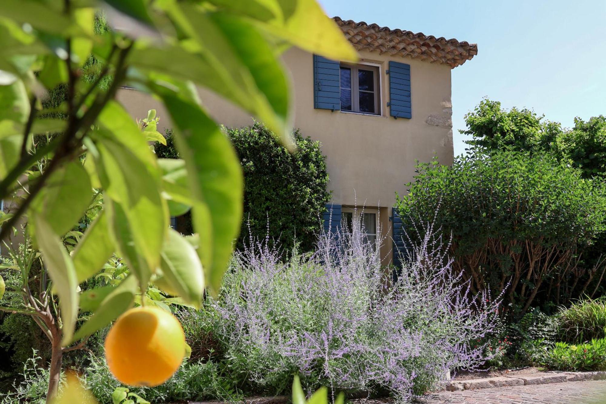 Domaine Du Moulin De Villefranche Pernes-les-Fontaines Exteriér fotografie